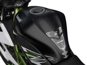 2019 Kawasaki Z125