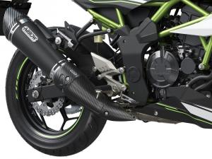 2019 Kawasaki Z125