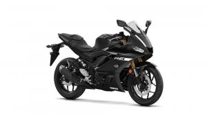 2019 Yamaha YZF-R3