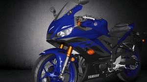2019 Yamaha YZF-R3
