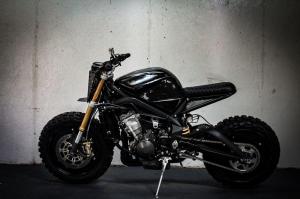 2018 Triumph Daytona 675 by Droog Moto