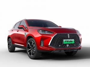 2018 WEY P8 GT
