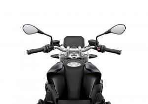 2019 BMW R1250R