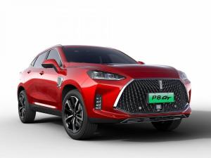 2018 WEY P8 GT