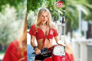 Febi Bilstein-Werkstattkalender 2019