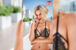 Febi Bilstein-Werkstattkalender 2019