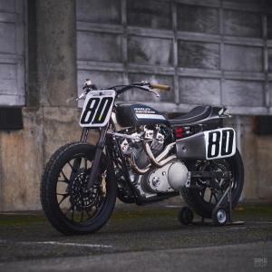 2007 Harley-Davidson XR750 by Brad Peterson