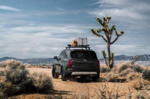2019 Kia Telluride