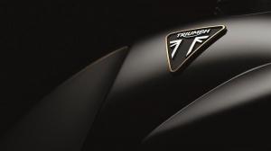 2019 Triumph Thruxton Factory Custom