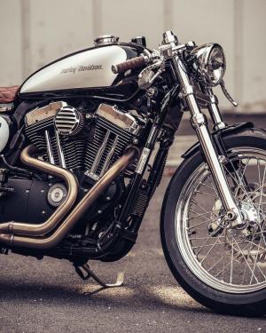2018 Harley-Davidson Sportster by Deus Ex Machina