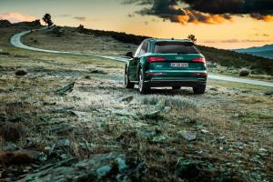 Audi SQ5 3.0 TDI 2019 года