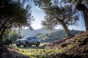 Mercedes-AMG GLE53 4Matic+ 2019 года
