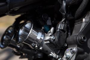 2019 Yamaha XSR700 Fior by Down & Out