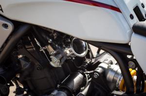 2019 Yamaha XSR700 Fior by Down & Out