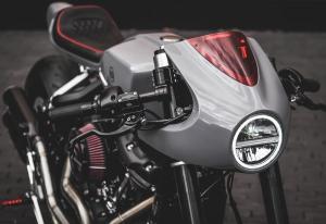 2019 Harley-Davidson Fat Bob 114 FXFBS by Blacktrack Motors
