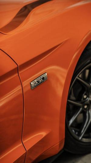 Ford Mustang EcoBoost High Performance Package 2019 года