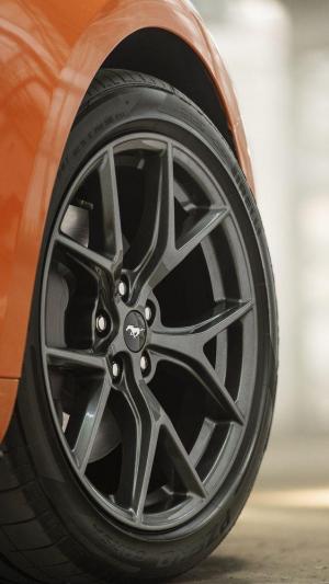 Ford Mustang EcoBoost High Performance Package 2019 года