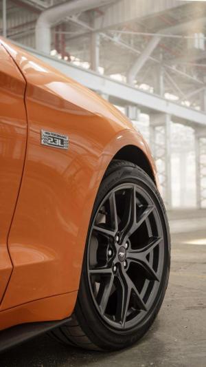 Ford Mustang EcoBoost High Performance Package 2019 года