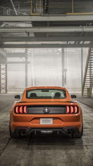 Ford Mustang EcoBoost High Performance Package 2019 года