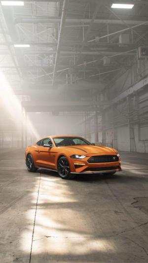 Ford Mustang EcoBoost High Performance Package 2019 года