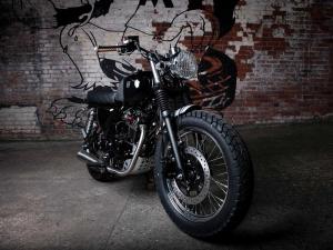 Mutt Super 6 Special Edition 2019 года
