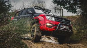 Volkswagen Amarok by Delta 4x4 2019 года