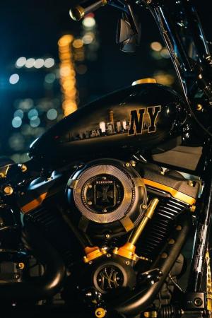 Harley-Davidson Street Bob by Game Over Cycle