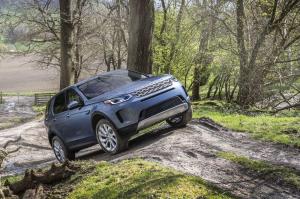Land Rover Discovery Sport P250 S 2019 года