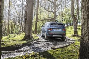 Land Rover Discovery Sport P250 S 2019 года