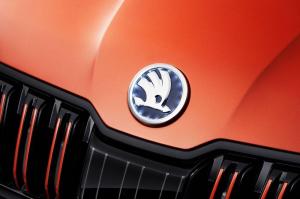 Skoda Mountiaq Concept 2019 года
