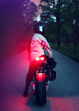 BMW Motorrad Vision DC Roadster 2019 года