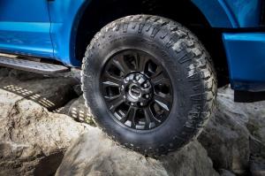 Ford F-250 Super Duty Tremor Off-Road Package  2019 года