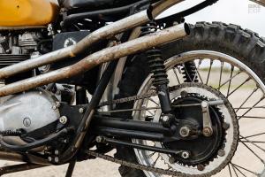 Triumph Desert Sled by Hello Engine