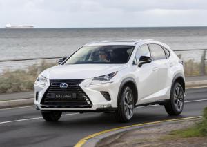 Lexus NX300 Crafted 2019 года