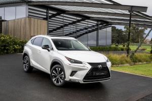 Lexus NX300 Crafted 2019 года