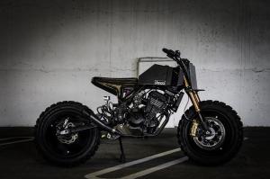 Kawasaki Ninja 250R by Droog Moto