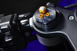 Yamaha YZF-R1
