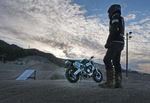 Kawasaki ER-6n by Taverne Motorcycle