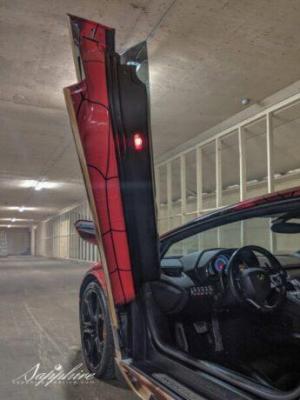 2019 Lamborghini Aventador LP700-4 Spiderghini Wrap