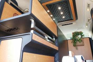 Toyota Alphard Mitsuoka Premium Fusion 2019 года