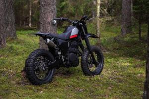 Honda Dominator NX650 by Differs