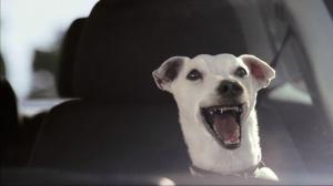 Volkswagen Polo: Singing Dog — Поющая собака (2008 г., Великобритания)