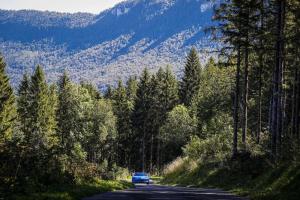 Alpine A110 Rally 2019 года