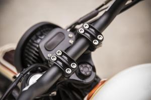 Triumph Scrambler by Roland Sands Design