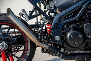 Triumph Speed Triple by Ludwig Motorcycles