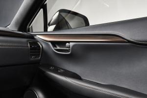Lexus NX300 Black Line 2019 года