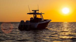 Honda Marine SJ32
