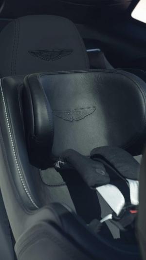 Аксессуары для Aston Martin DBX