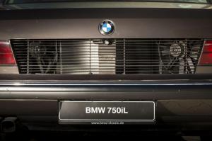 BMW Goldfisch V16