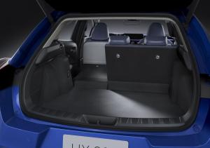 Lexus UX300e 2020 года